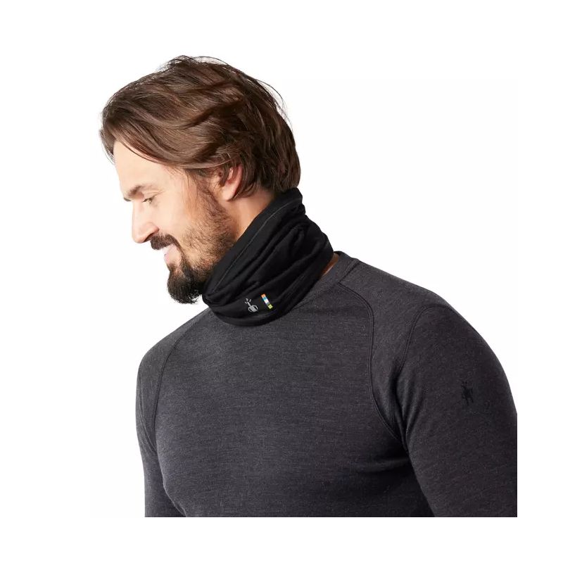 smartwool 250 neck gaiter